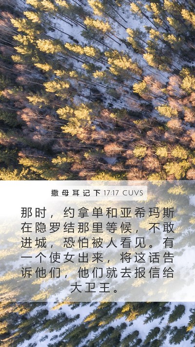 撒 母 耳 记 下 17:17 CUVS Bible Verse Image