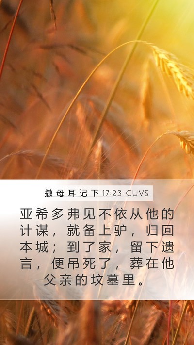 撒 母 耳 记 下 17:23 CUVS Bible Verse Image