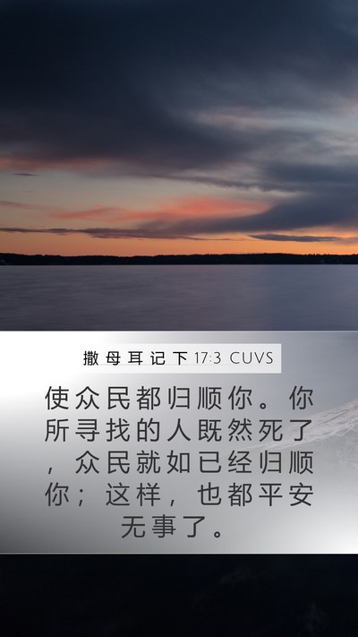撒 母 耳 记 下 17:3 CUVS Bible Verse Image
