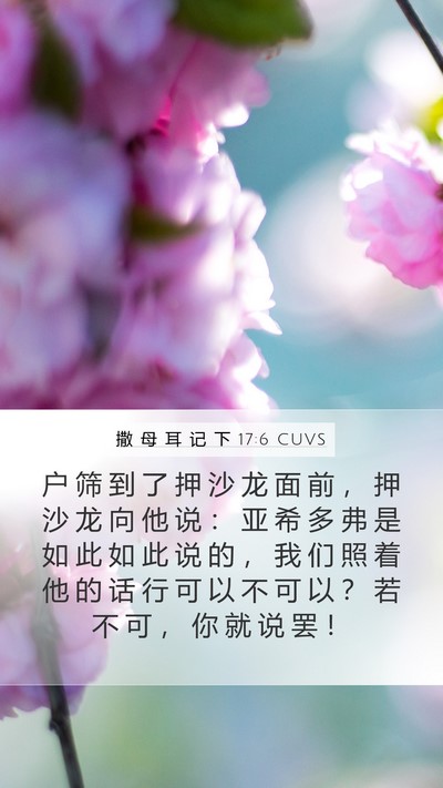 撒 母 耳 记 下 17:6 CUVS Mobile Phone Wallpaper - 户 筛 到 了 押 沙 龙 面 前 ， 押 沙 - Mobile Bible Verse Wallpaper