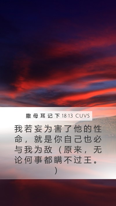 撒 母 耳 记 下 18:13 CUVS Mobile Phone Wallpaper - 我 若 妄 为 害 了 他 的 性 命 ， 就 - Mobile Bible Verse Wallpaper