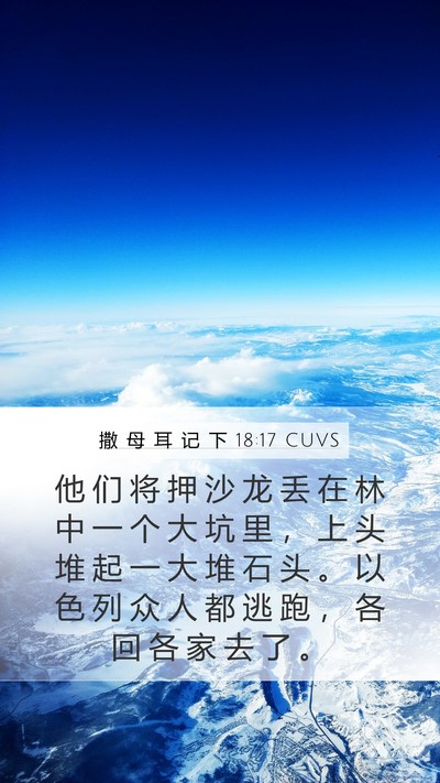 撒 母 耳 记 下 18:17 CUVS Bible Verse Image