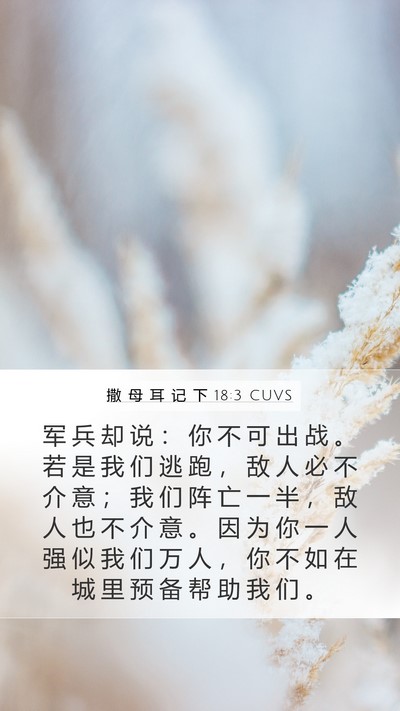 撒 母 耳 记 下 18:3 CUVS Bible Verse Image
