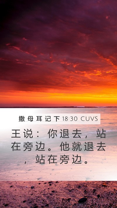 撒 母 耳 记 下 18:30 CUVS Mobile Phone Wallpaper - 王 说 ： 你 退 去 ， 站 在 旁 边 。 - Mobile Bible Verse Wallpaper