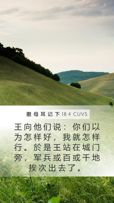 撒 母 耳 记 下 18:4 CUVS Mobile Phone Wallpaper - 王 向 他 们 说 ： 你 们 以 为 怎 样 - Mobile Bible Verse Wallpaper