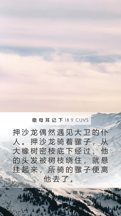撒 母 耳 记 下 18:9 CUVS Bible Verse Image