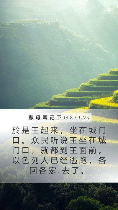 撒 母 耳 记 下 19:8 CUVS Bible Verse Image