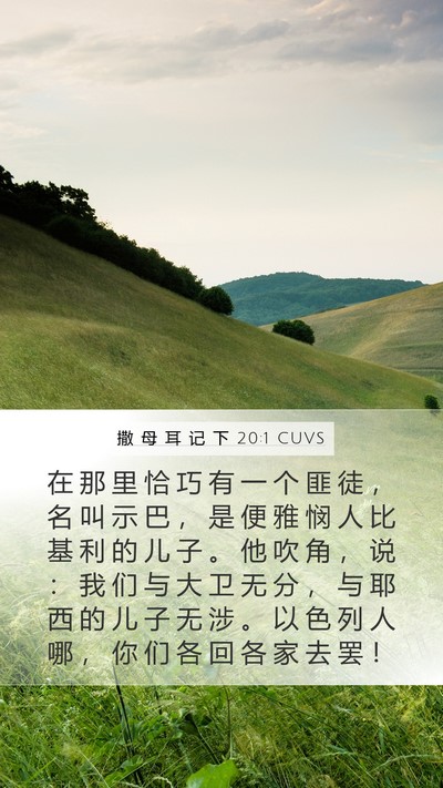 撒 母 耳 记 下 20:1 CUVS Bible Verse Image