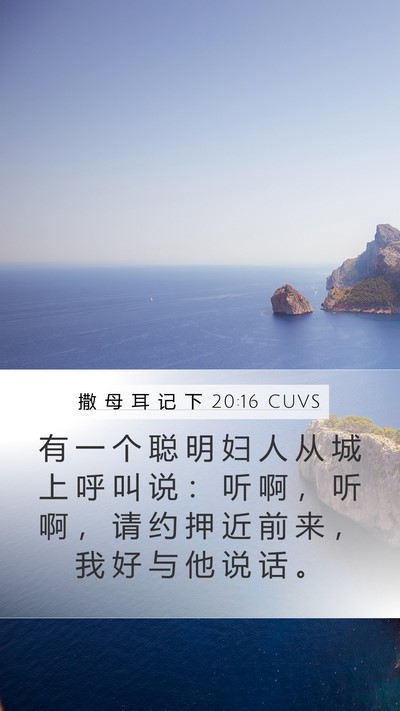 撒 母 耳 记 下 20:16 CUVS Bible Verse Image