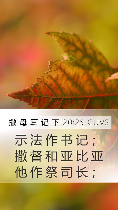 撒 母 耳 记 下 20:25 CUVS Bible Verse Image