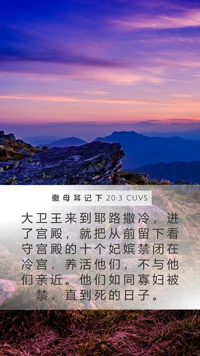 撒 母 耳 记 下 20:3 CUVS Bible Verse Image
