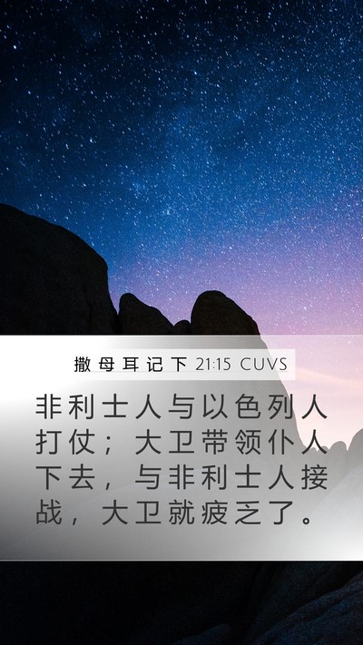 撒 母 耳 记 下 21:15 CUVS Bible Verse Image