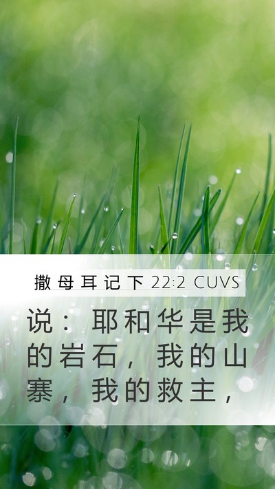 撒 母 耳 记 下 22:2 CUVS Mobile Phone Wallpaper - 说 ： 耶 和 华 是 我 的 岩 石 ， 我 - Mobile Bible Verse Wallpaper
