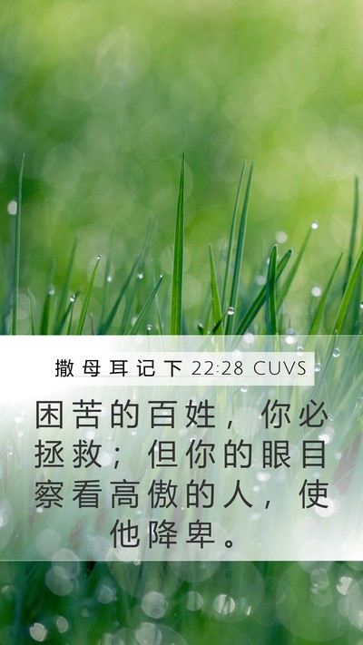 撒 母 耳 记 下 22:28 CUVS Mobile Phone Wallpaper - 困 苦 的 百 姓 ， 你 必 拯 救 ； 但 - Mobile Bible Verse Wallpaper