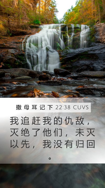 撒 母 耳 记 下 22:38 CUVS Bible Verse Image