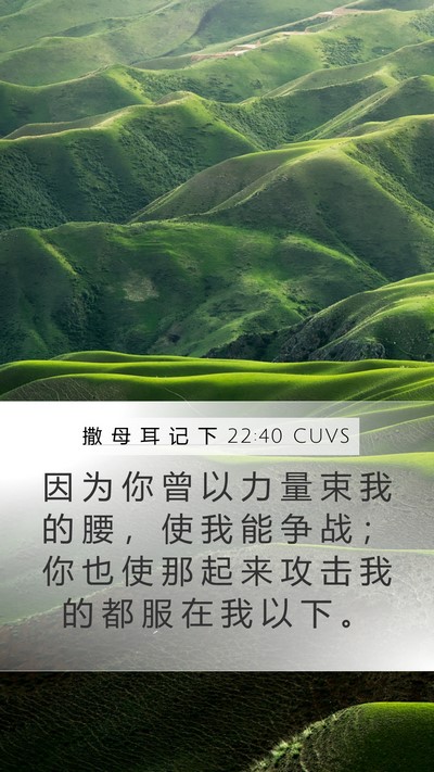 撒 母 耳 记 下 22:40 CUVS Bible Verse Image