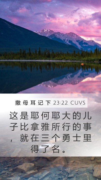 撒 母 耳 记 下 23:22 CUVS Bible Verse Image