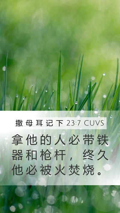 撒 母 耳 记 下 23:7 CUVS Mobile Phone Wallpaper - 拿 他 的 人 必 带 铁 器 和 枪 杆 ， - Mobile Bible Verse Wallpaper