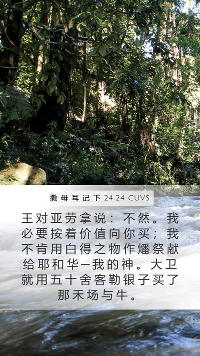 撒 母 耳 记 下 24:24 CUVS Bible Verse Image