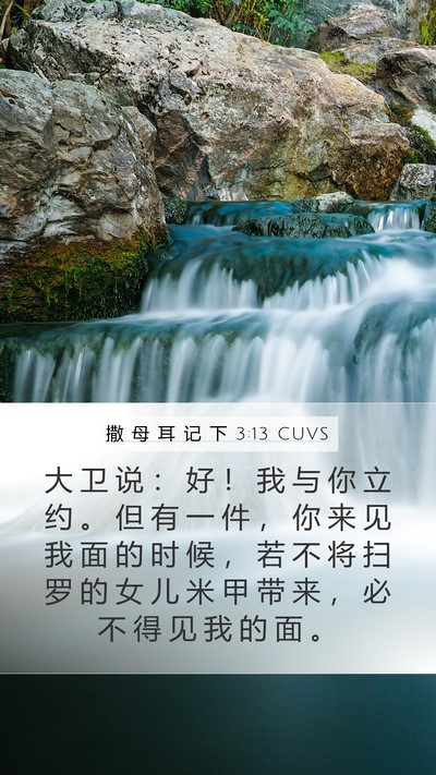 撒 母 耳 记 下 3:13 CUVS Mobile Phone Wallpaper - 大 卫 说 ： 好 ！ 我 与 你 立 约 。 - Mobile Bible Verse Wallpaper