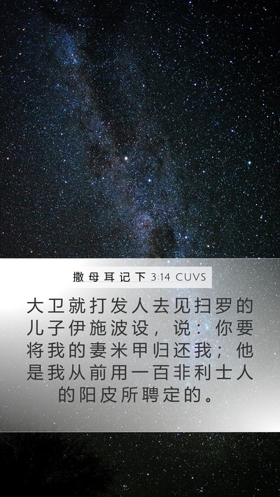 撒 母 耳 记 下 3:14 CUVS Bible Verse Image