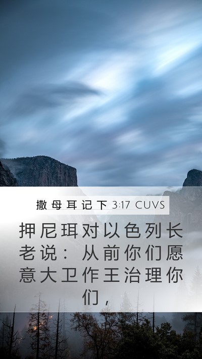 撒 母 耳 记 下 3:17 CUVS Mobile Phone Wallpaper - 押 尼 珥 对 以 色 列 长 老 说 ： 从 - Mobile Bible Verse Wallpaper