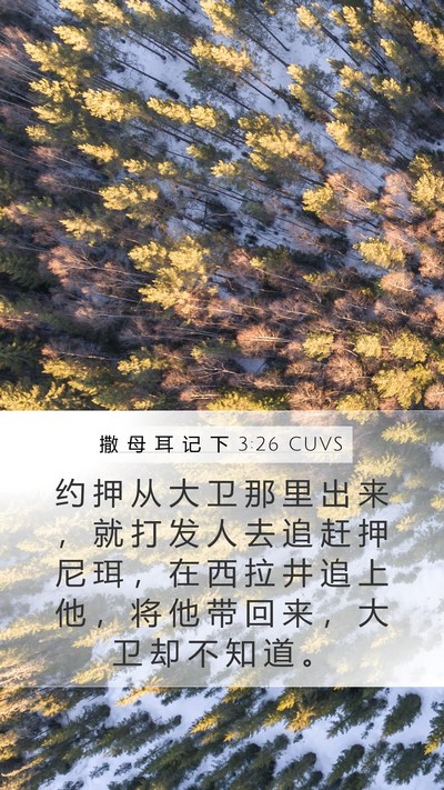 撒 母 耳 记 下 3:26 CUVS Mobile Phone Wallpaper - 约 押 从 大 卫 那 里 出 来 ， 就 打 - Mobile Bible Verse Wallpaper