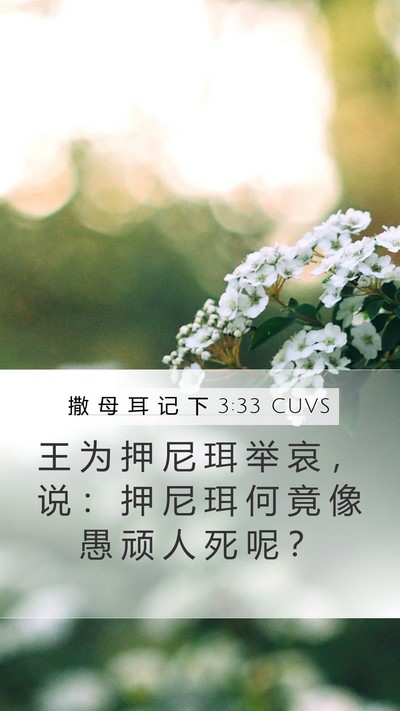 撒 母 耳 记 下 3:33 CUVS Bible Verse Image