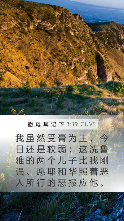 撒 母 耳 记 下 3:39 CUVS Bible Verse Image