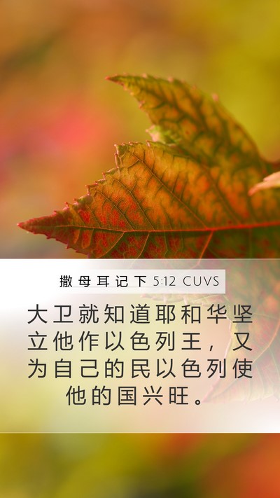 撒 母 耳 记 下 5:12 CUVS Mobile Phone Wallpaper - 大 卫 就 知 道 耶 和 华 坚 立 他 作 - Mobile Bible Verse Wallpaper