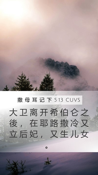 撒 母 耳 记 下 5:13 CUVS Bible Verse Image