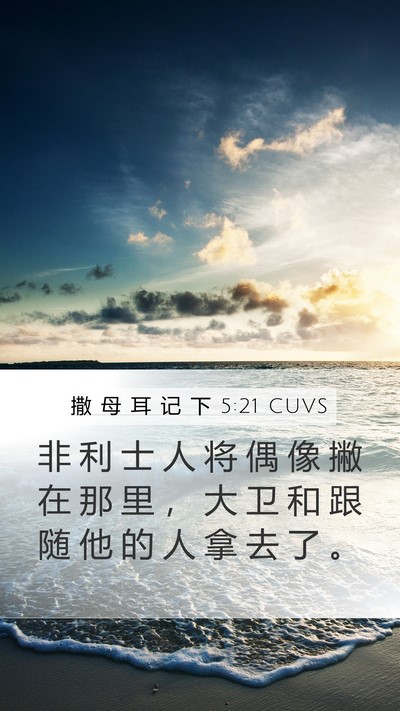 撒 母 耳 记 下 5:21 CUVS Bible Verse Image