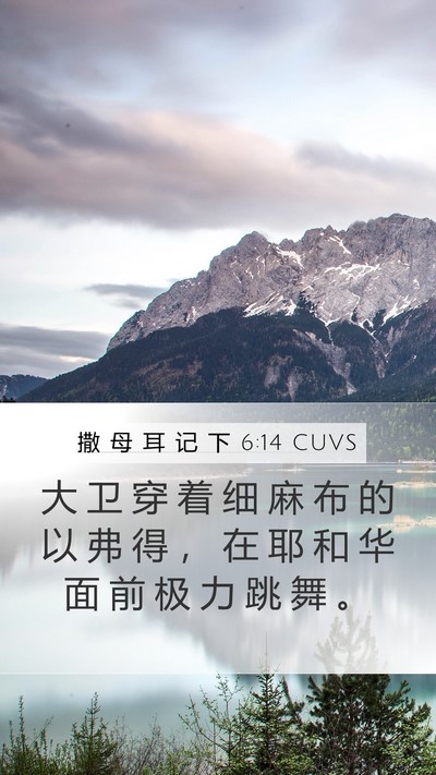 撒 母 耳 记 下 6:14 CUVS Bible Verse Image