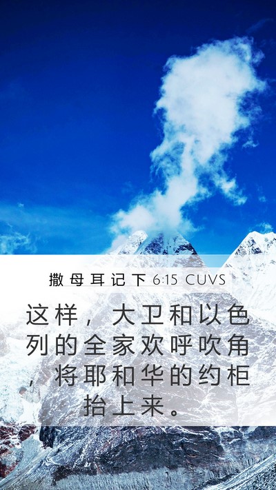 撒 母 耳 记 下 6:15 CUVS Bible Verse Image