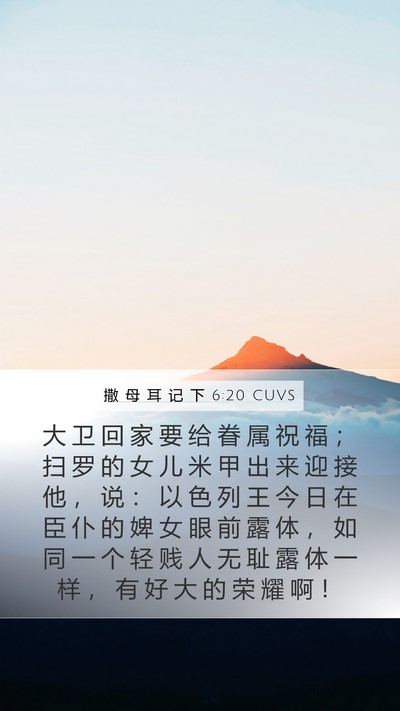 撒 母 耳 记 下 6:20 CUVS Bible Verse Image