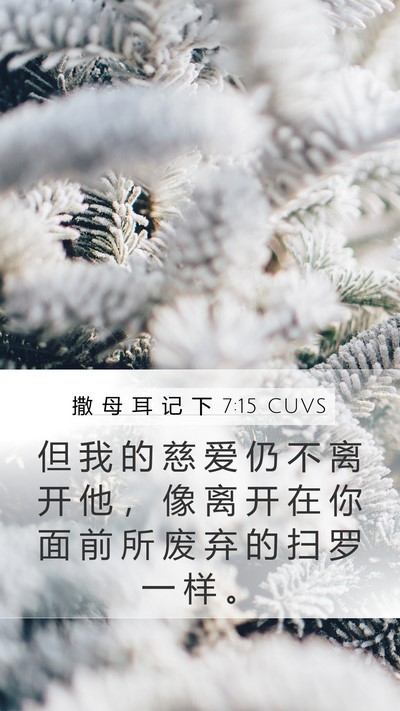 撒 母 耳 记 下 7:15 CUVS Mobile Phone Wallpaper - 但 我 的 慈 爱 仍 不 离 开 他 ， 像 - Mobile Bible Verse Wallpaper