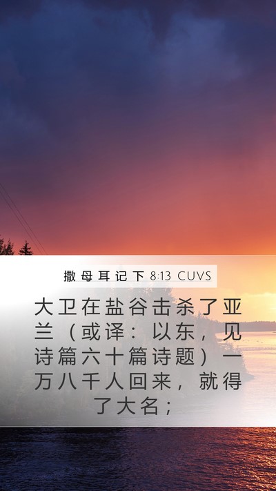 撒 母 耳 记 下 8:13 CUVS Bible Verse Image