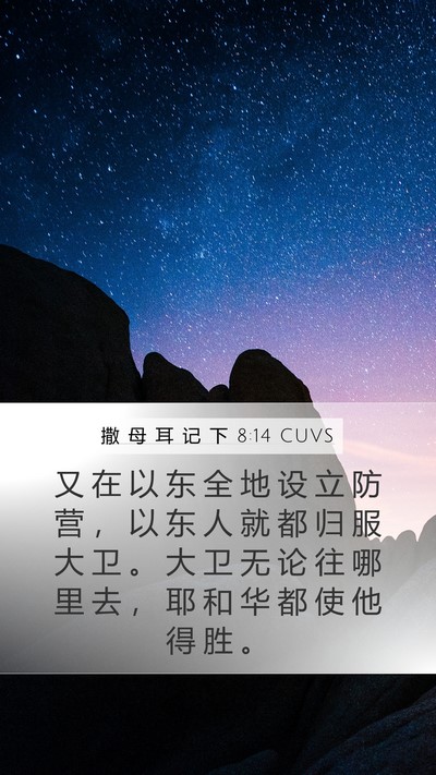 撒 母 耳 记 下 8:14 CUVS Bible Verse Image