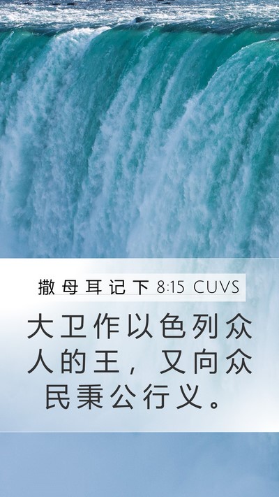 撒 母 耳 记 下 8:15 CUVS Bible Verse Image