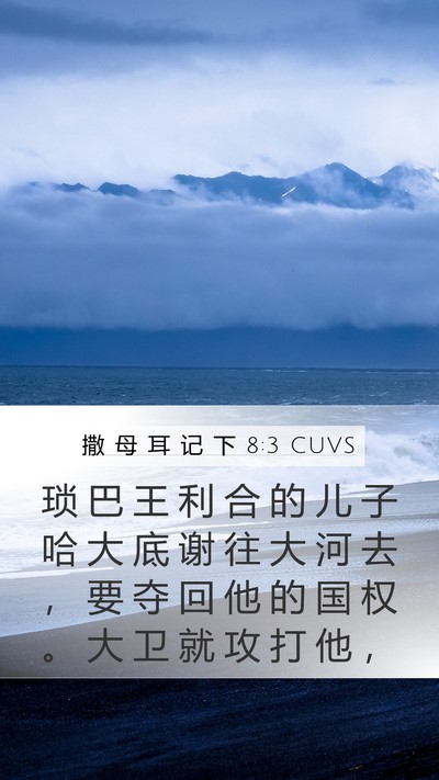 撒 母 耳 记 下 8:3 CUVS Bible Verse Image