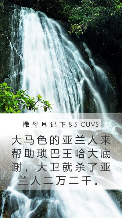 撒 母 耳 记 下 8:5 CUVS Mobile Phone Wallpaper - 大 马 色 的 亚 兰 人 来 帮 助 琐 巴 - Mobile Bible Verse Wallpaper