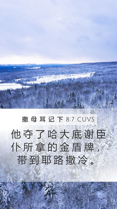 撒 母 耳 记 下 8:7 CUVS Bible Verse Image