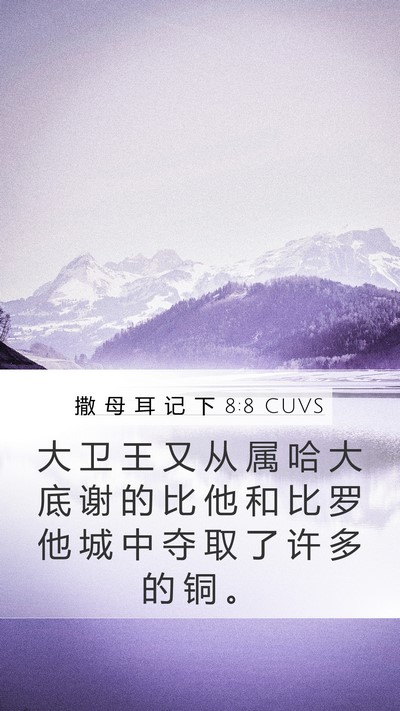 撒 母 耳 记 下 8:8 CUVS Mobile Phone Wallpaper - 大 卫 王 又 从 属 哈 大 底 谢 的 比 - Mobile Bible Verse Wallpaper