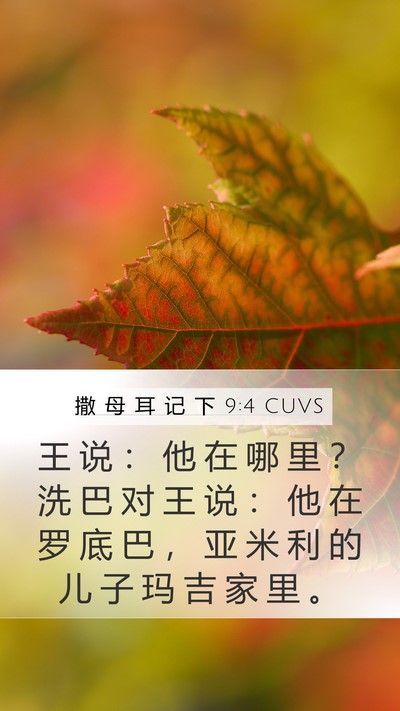 撒 母 耳 记 下 9:4 CUVS Mobile Phone Wallpaper - 王 说 ： 他 在 哪 里 ？ 洗 巴 对 王 - Mobile Bible Verse Wallpaper