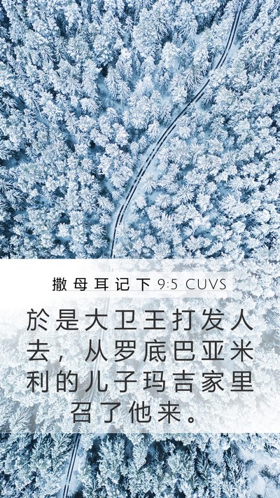 撒 母 耳 记 下 9:5 CUVS Mobile Phone Wallpaper - 於 是 大 卫 王 打 发 人 去 ， 从 罗 - Mobile Bible Verse Wallpaper