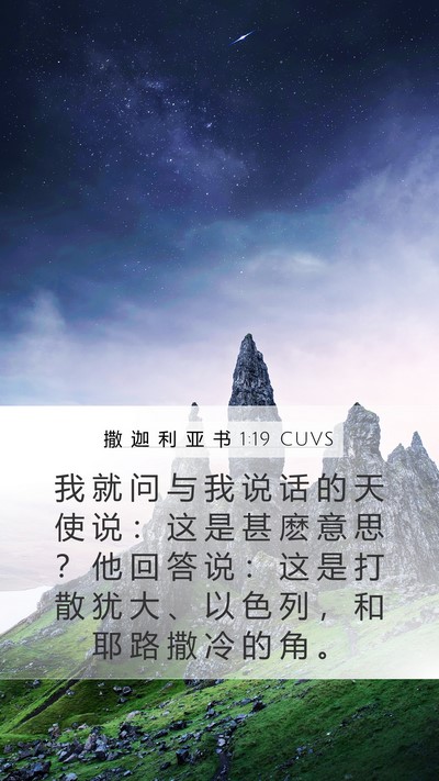 撒 迦 利 亚 书 1:19 CUVS Bible Verse Image