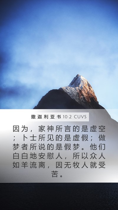 撒 迦 利 亚 书 10:2 CUVS Bible Verse Image