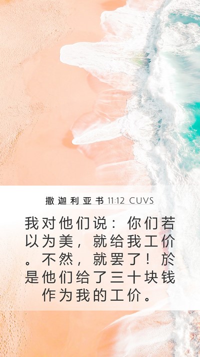 撒 迦 利 亚 书 11:12 CUVS Bible Verse Image