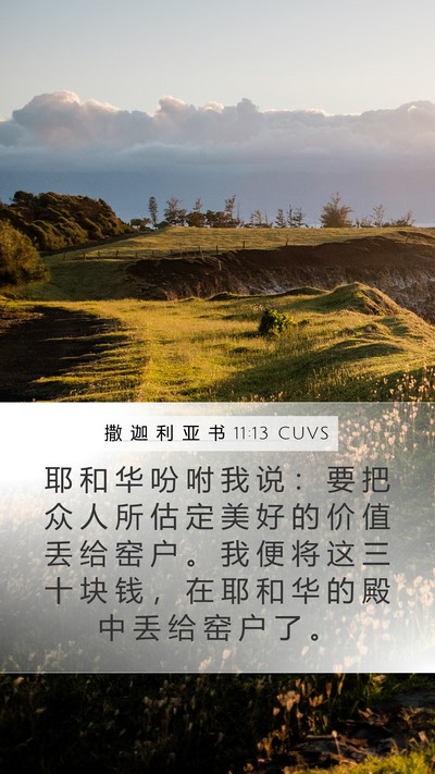 撒 迦 利 亚 书 11:13 CUVS Bible Verse Image