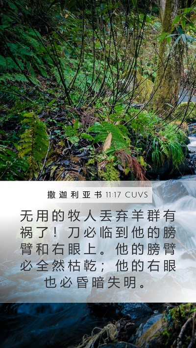 撒 迦 利 亚 书 11:17 CUVS Bible Verse Image